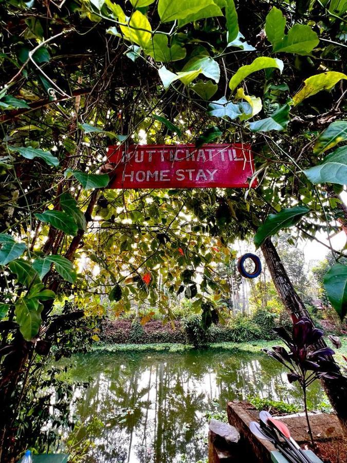Kuttickattil Pool Home Stay Kumarakom Ngoại thất bức ảnh